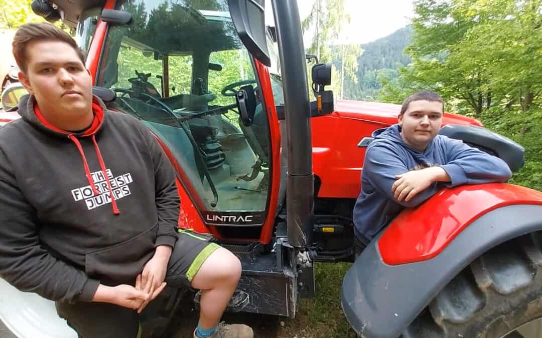 Die schnellen Holztransporter