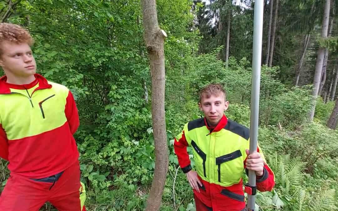 Baumpfleger mit Weitblick