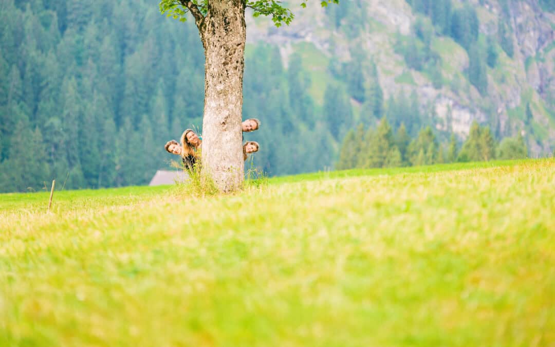 Die schönsten Wald-Erlebnisziele in Österreich