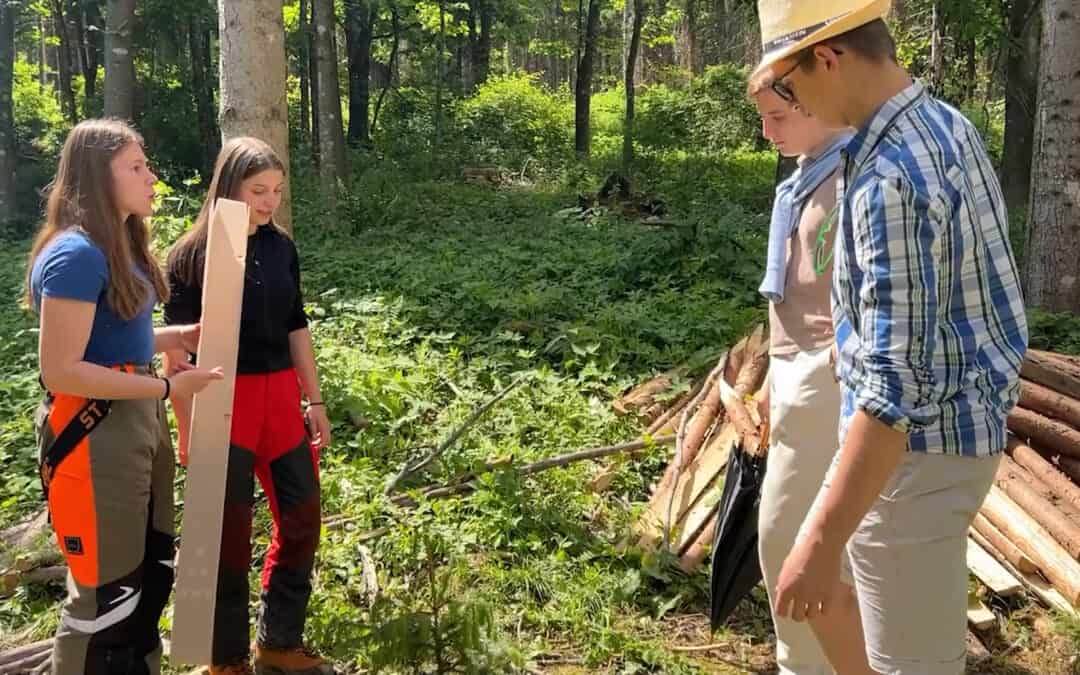 Schutz für den Schutzwald