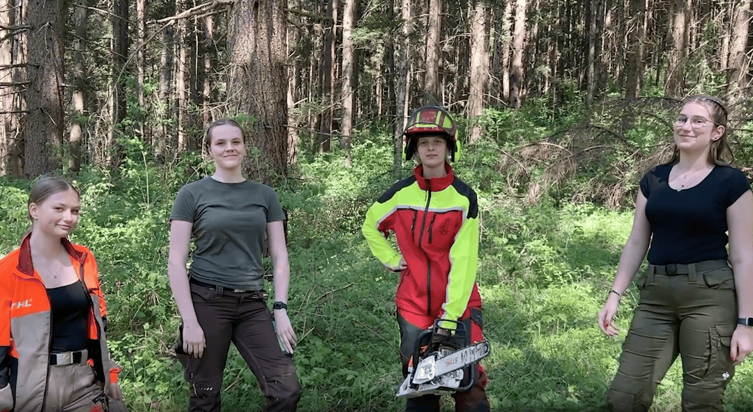 Schutzwald ist nicht gleich Schutzwald