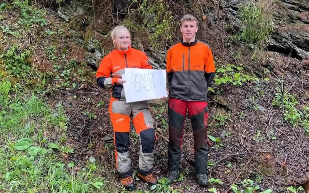 Verschiedene Arten von Schutzwald