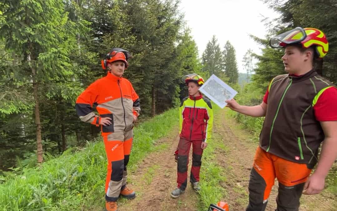 Sich optimal auf die Waldarbeit vorbereiten