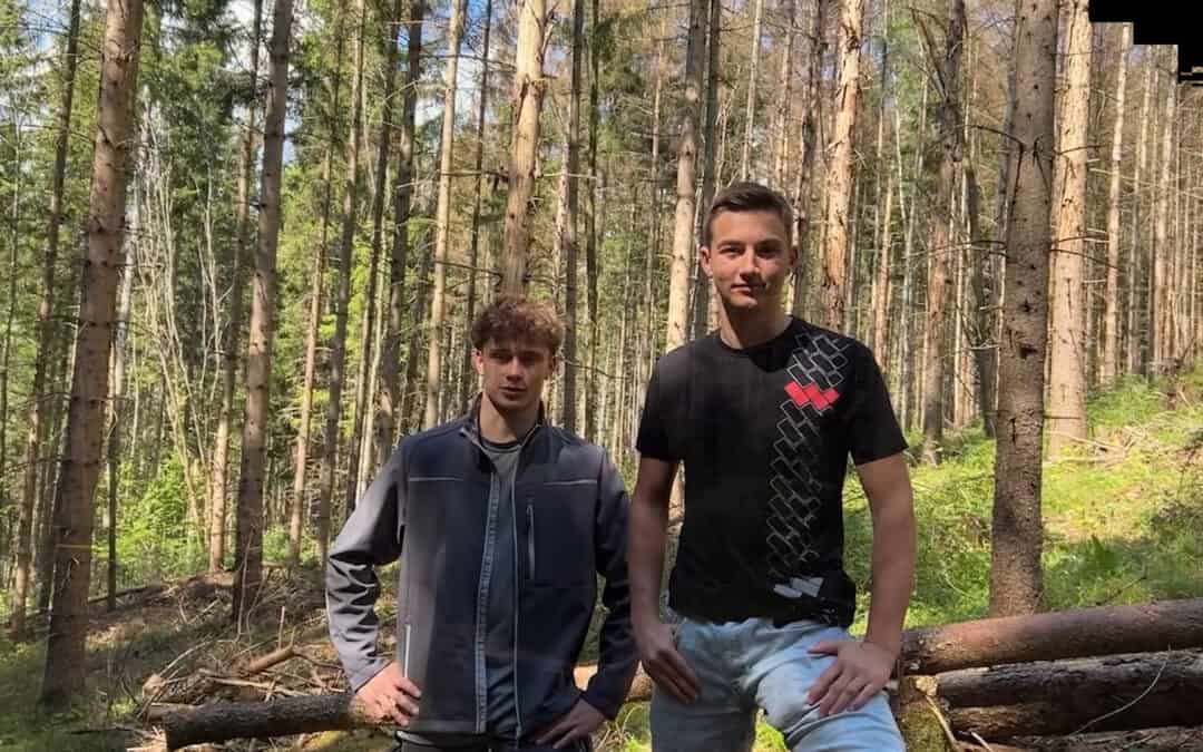 Mischbestände für eine klimafitte Waldzukunft