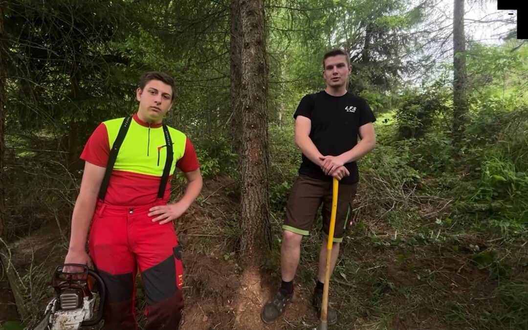Aktives Arbeiten im Wald zahlt sich aus