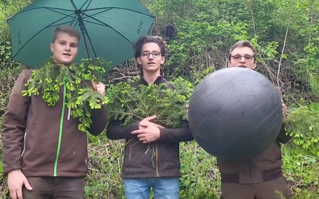 Gemeinsam sind wir stark – unser Schutzwald