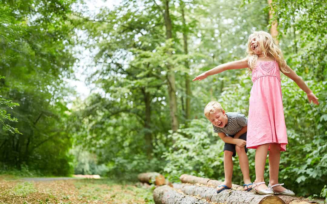Waldabenteuer für kleine Stadtfüchse