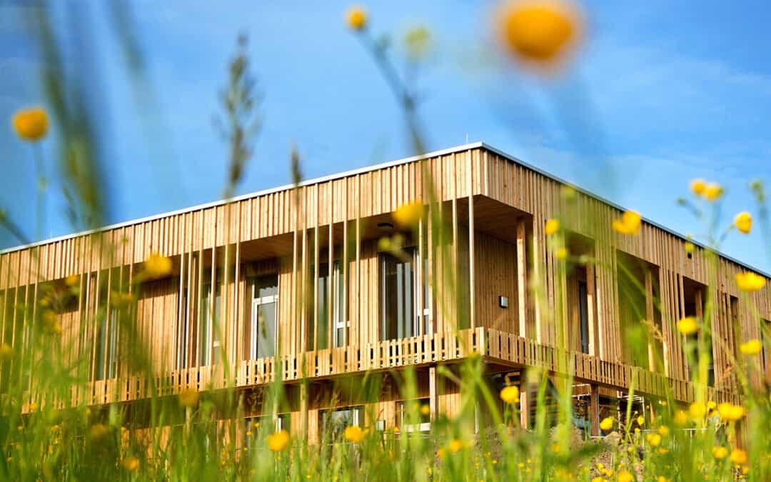 Moderner Holzbau in Österreich: Leitfaden für nachhaltige Bauweisen