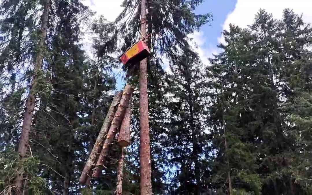 Moderne Forstwirtschaft mit Kippmastseilgeräten und Satellitentechnik