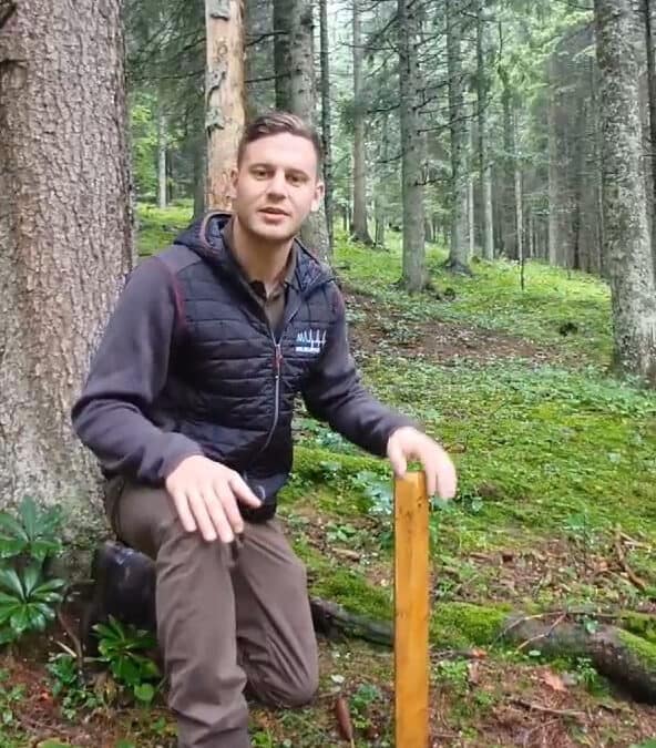 Forststraßen im Wald richtig planen