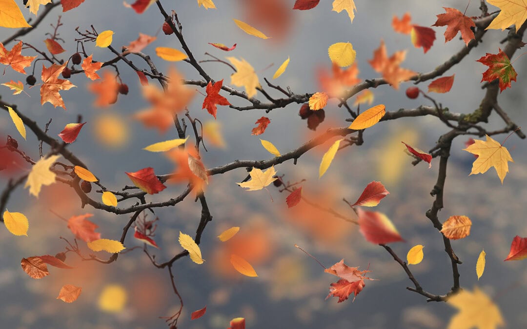 Diese 3 Novembertermine darf man nicht verpassen!