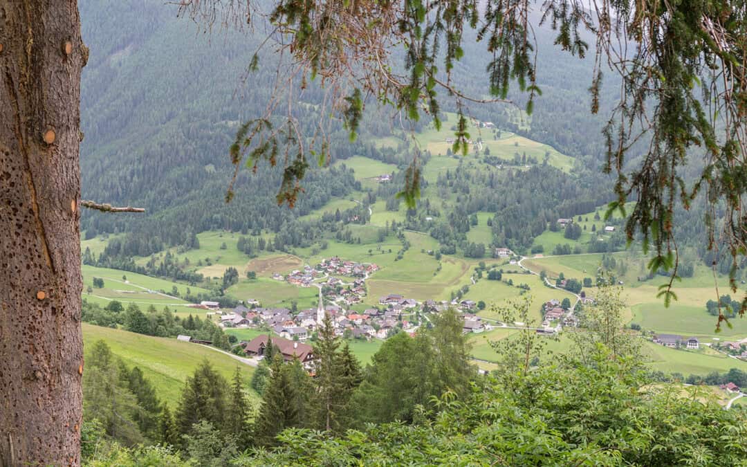 Woche des Schutzwaldes 2025