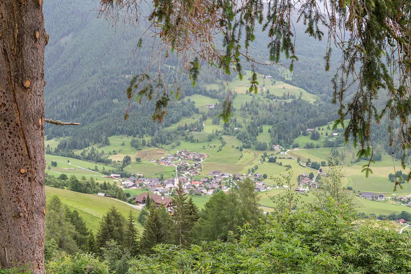 schutzwald-pflege-wald-forstwirtschaft-österreich-waldgeschichten Die Woche des Schutzwaldes findet im Oktober 2025 statt.