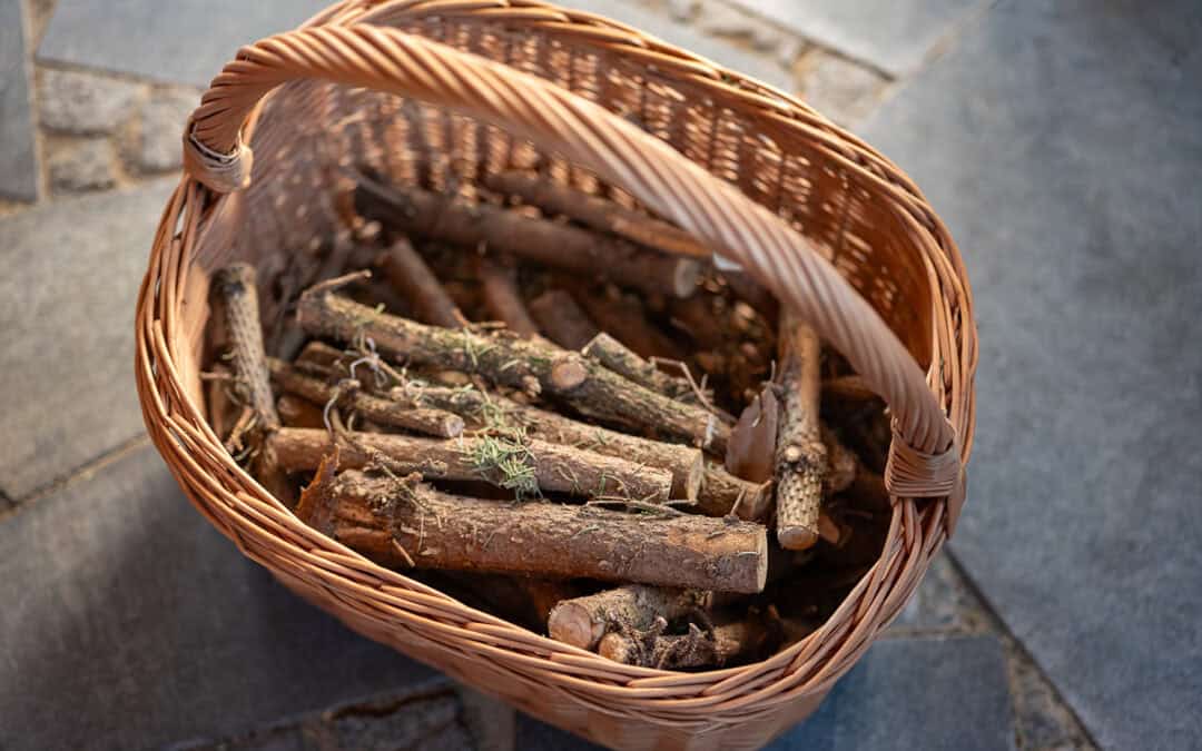 Holz sammeln im Wald: Ist Brennholz sammeln im Wald erlaubt?