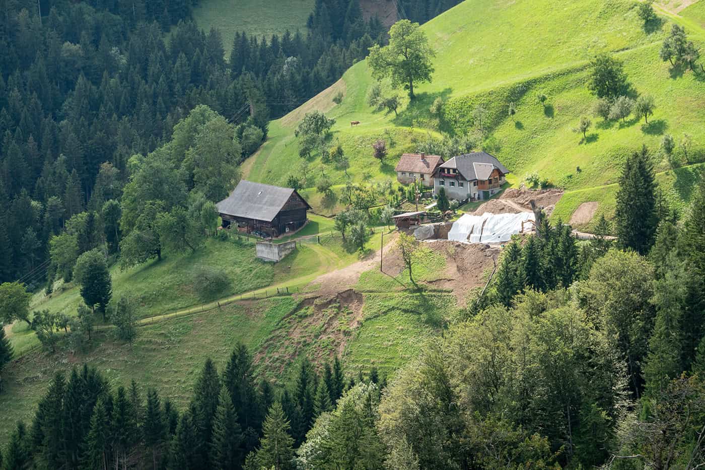Ein Schutzwald schützt Dörfer und Infrastruktur