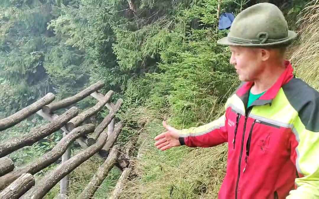 Schutzwald & Instandhaltung: Ein Wiedersehen im Wald nach 10 Jahren