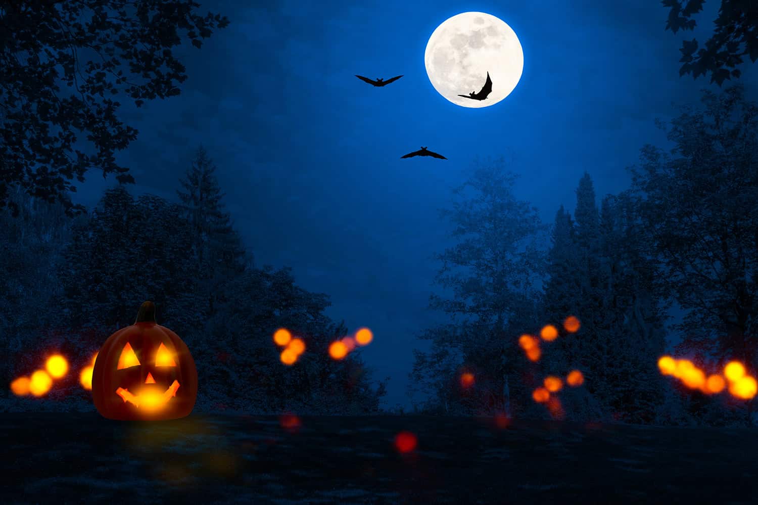 halloween-österreich-fledermaus-waldgeschichten-nachts-wälder Halloween Österreich Nachts in den Wäldern