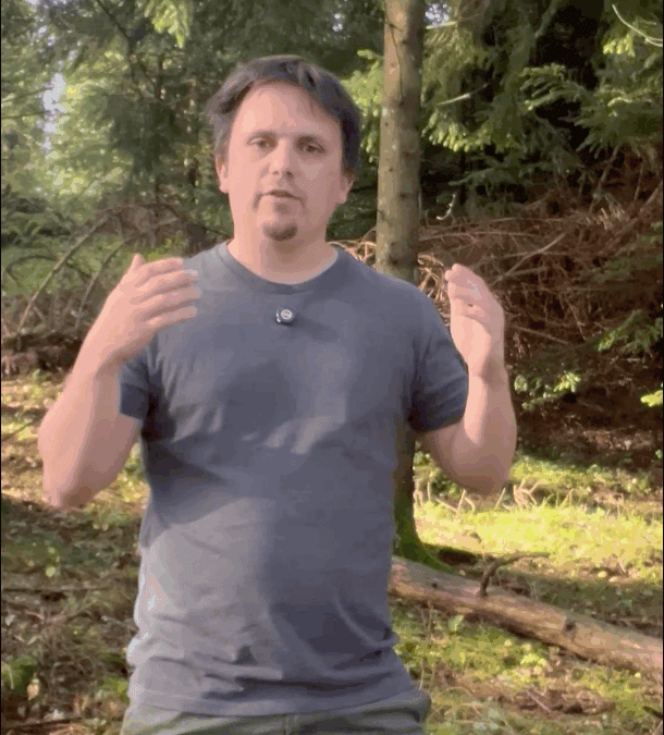 Wald bewirtschaften: Den eigenen Wald klimafit machen