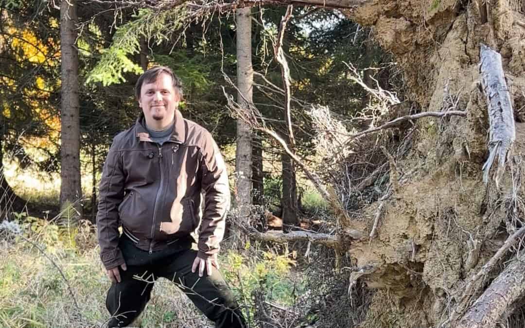 Wald in Österreich: Mit Optimismus und Bewirtschaftung dem Klimawandel begegnen