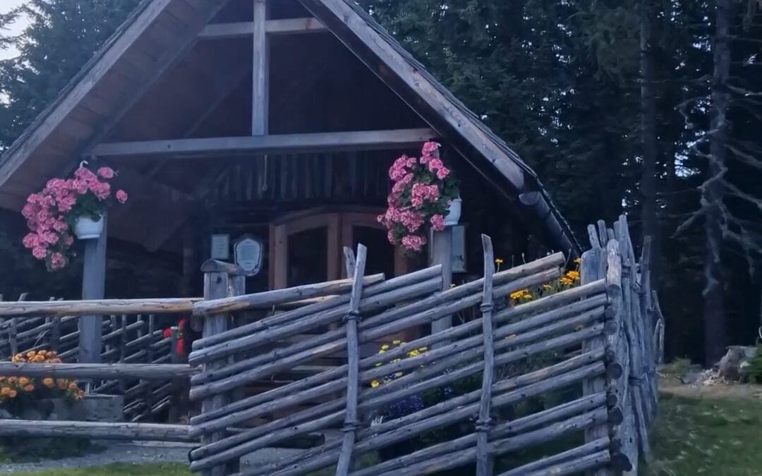 Regeln im Wald: Der Erhalt der Kulturlandschaft als Herzensanliegen