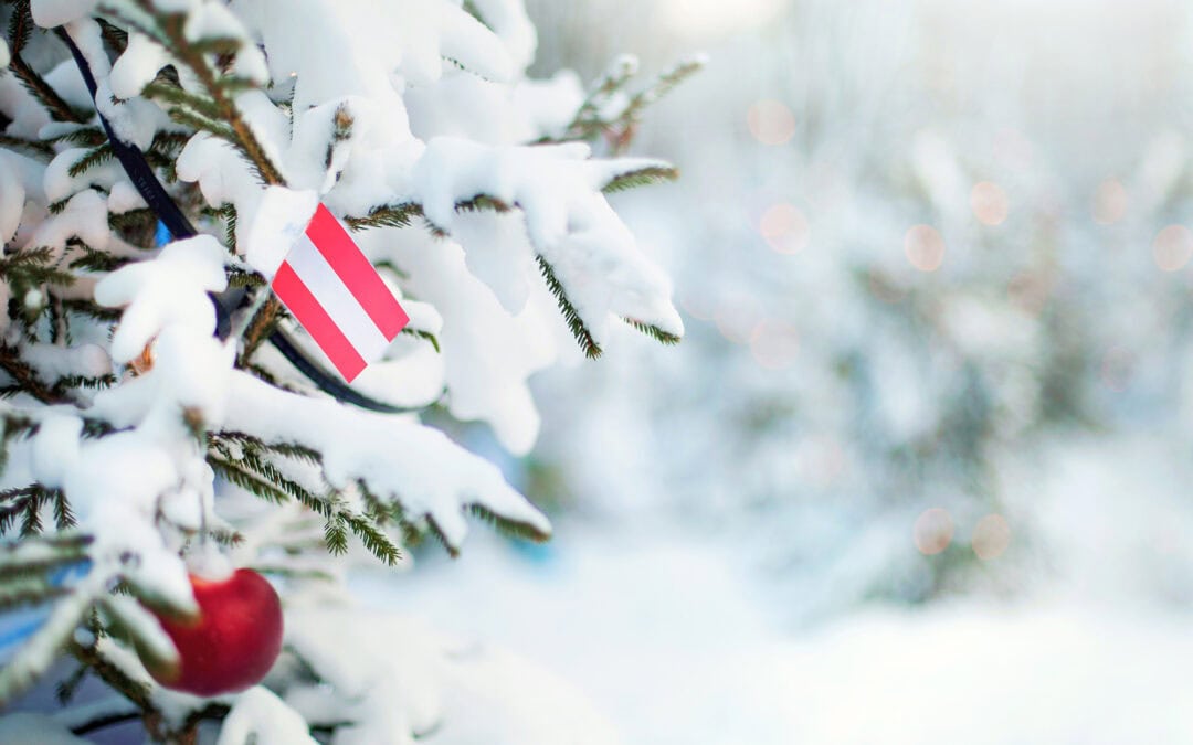 Christbäume aus Österreich: Zwölf Jahre, ein Fest