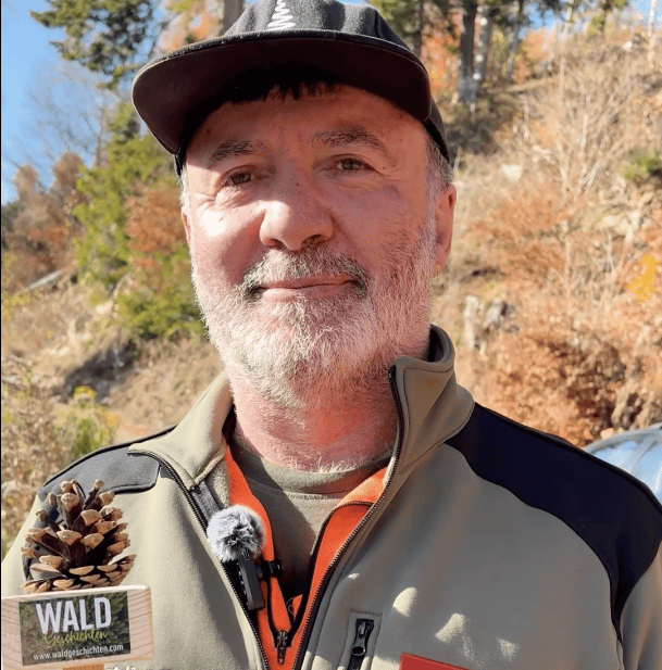 Aufforsten nach dem Borkenkäfer