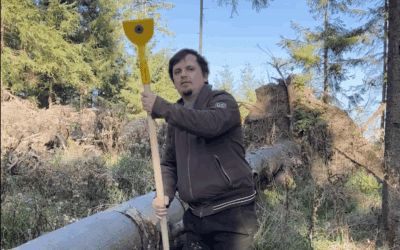 Georg Kanz erklärt, wie man in seinem Wald nützliches Totholz schaffen kann