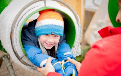 Christbäume: Niederösterreichs Christbaumhöfe starten in die Saison 2025