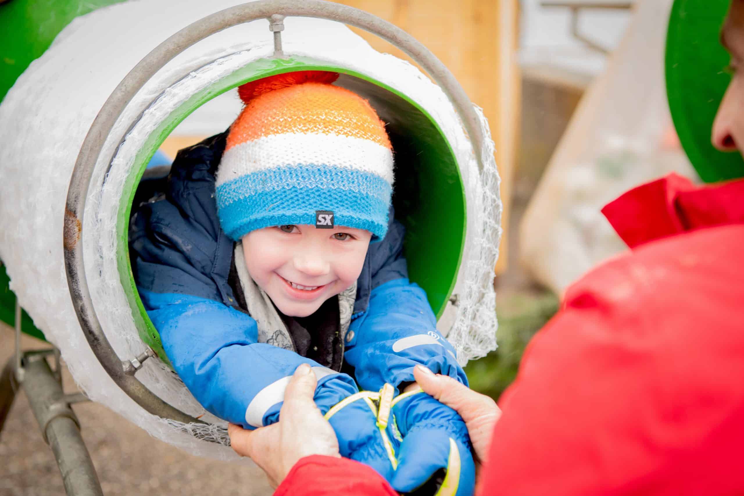 Christbäume aus Österreich
