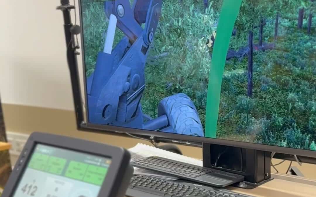 Berufe im Forst: Theoretisch und praktisch die Waldbewirtschaftung in Traunkirchen erlernen