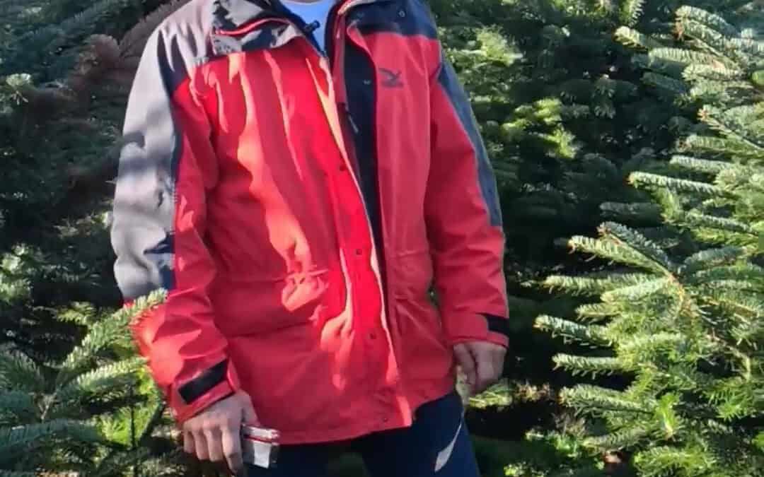 Österreichische Christbäume aus der Steiermark