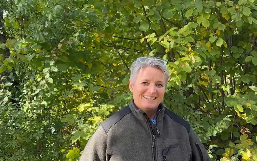 Pfarrpfründe in Oberösterreich: Nachhaltige Bewirtschaftung der Kirchenwälder