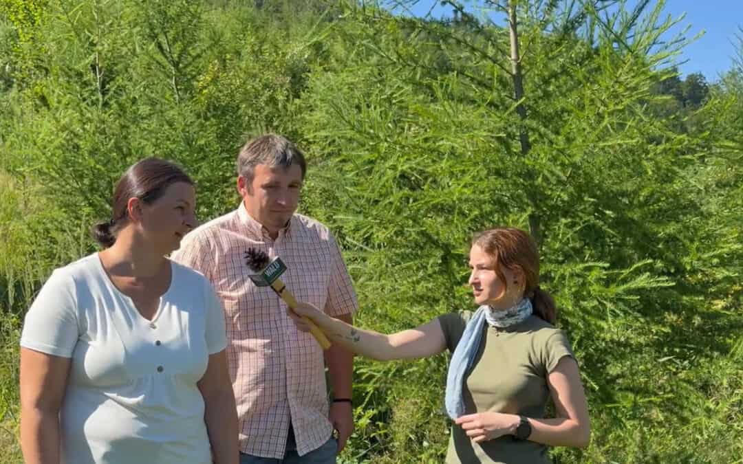 Erholung im Wald – ja. Müll hinterlassen – nein.