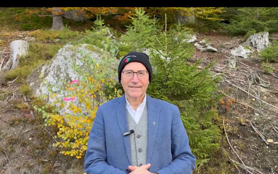 Der höchste Waldbaum in Oberösterreich ist eine Douglasie