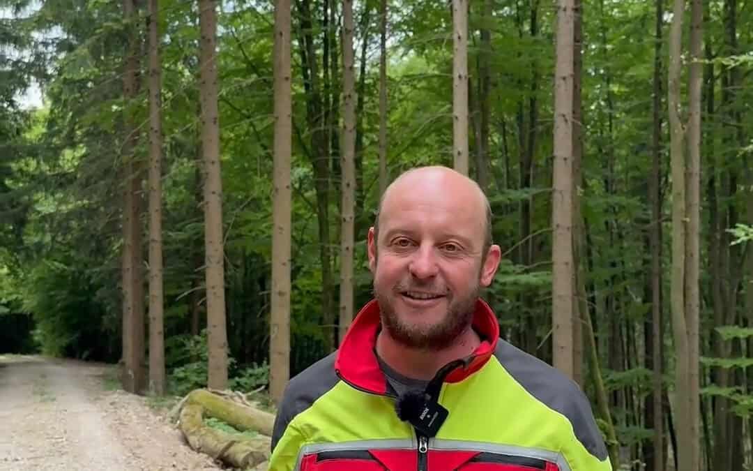3 Fragen an Thomas: Wie er den Wald sieht – und was seine Arbeit wert ist