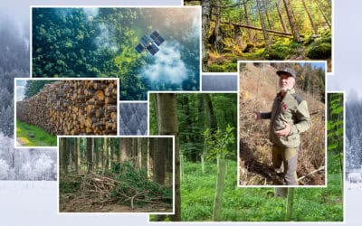 Wintertagung 2026: Fachtag Waldwirtschaft in Bruck an der Mur