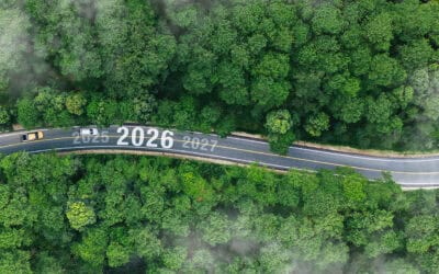 Das Waldjahr 2025: Was war – und was 2026 wichtig wird