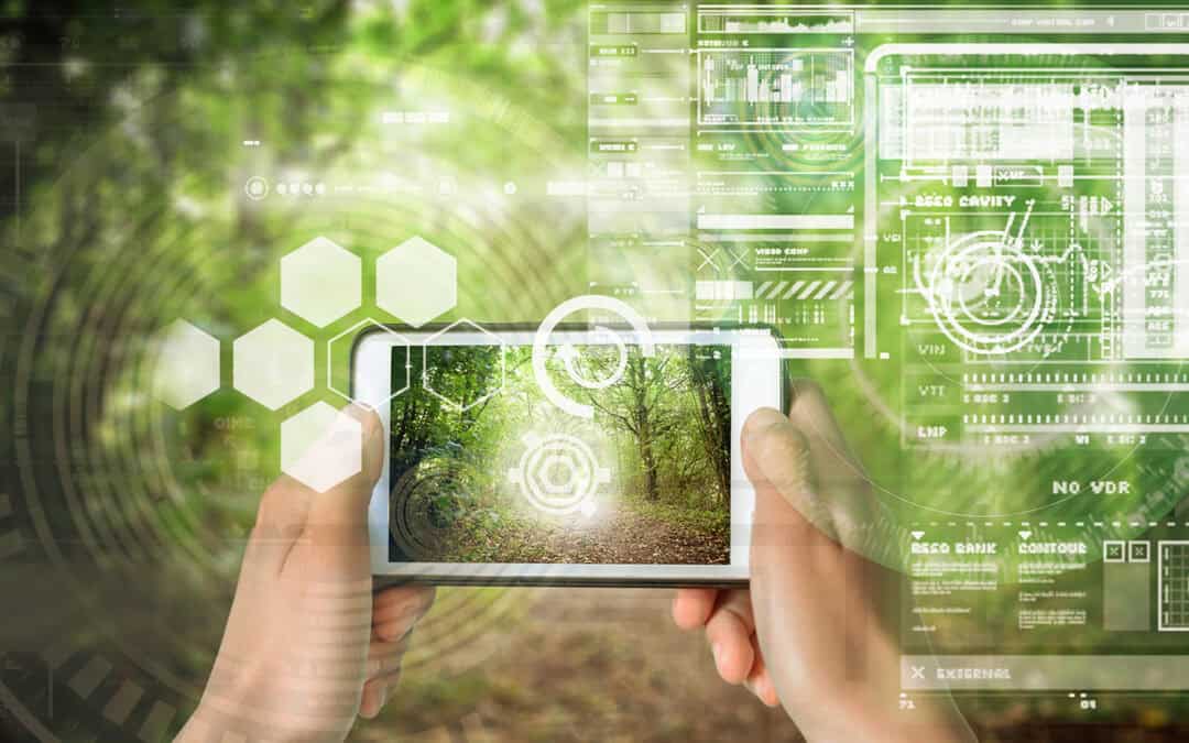 Waldforschung Österreich: Praxisbeispiele und Tools