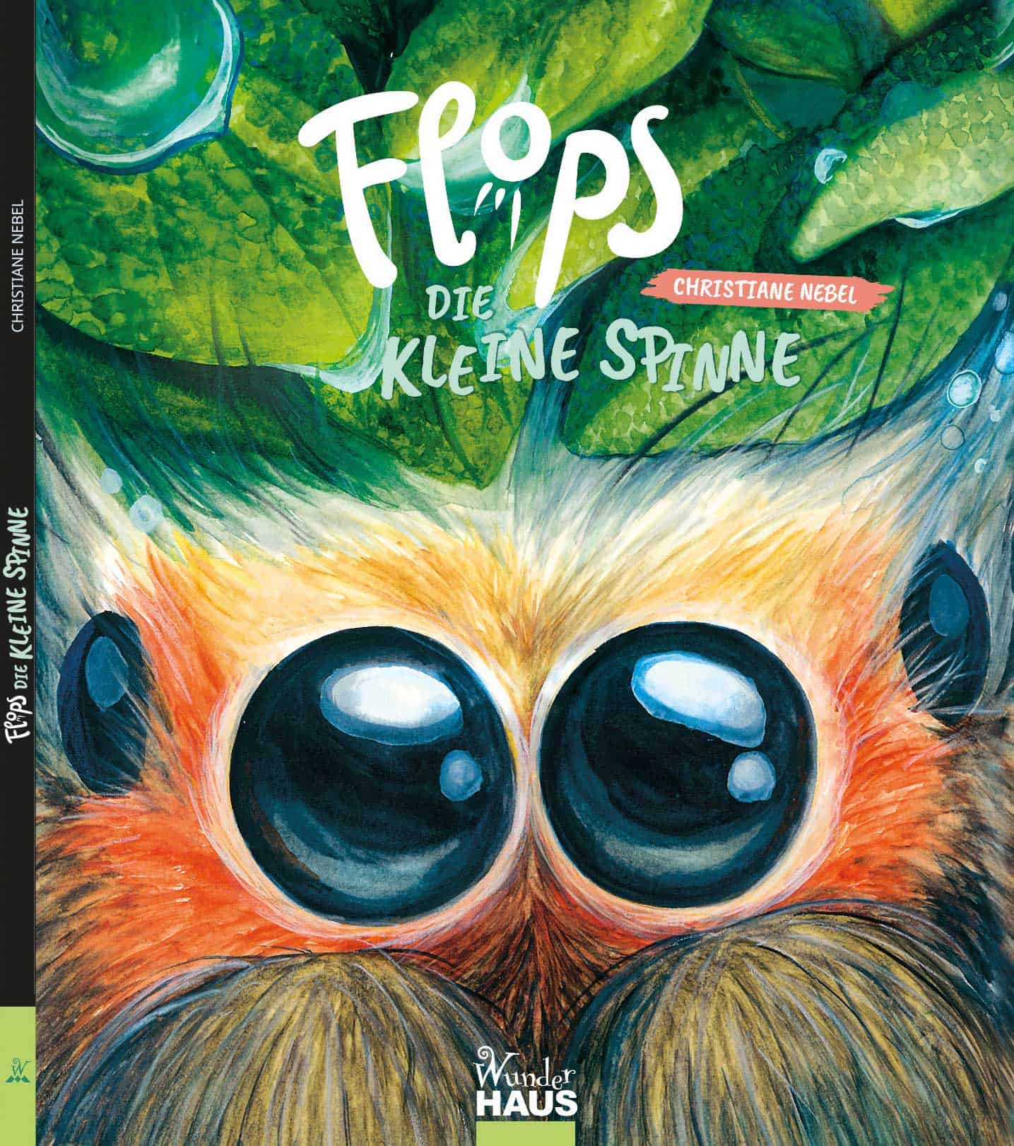 Flops, die kleine Spinne, ein Kinderbuch, vorgestellt von Waldgeschichten