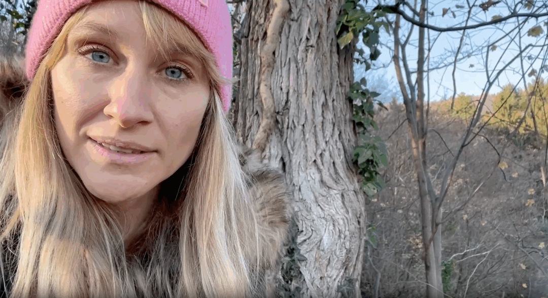 Die rote Waldameise: Ihre erstaunliche Strategie für den Winter