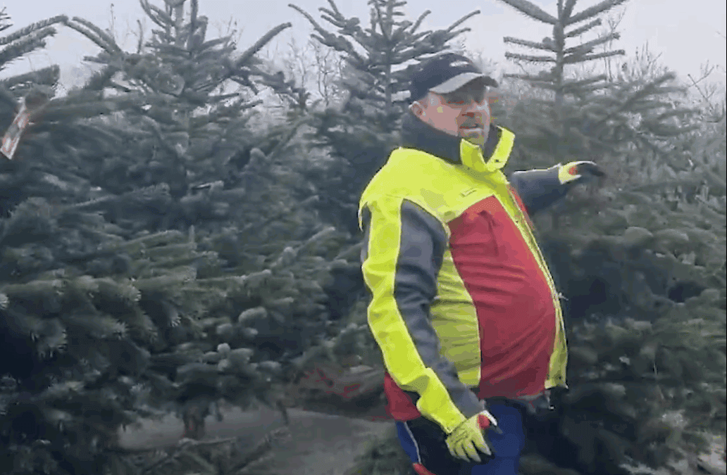 Stimmt die Höhe? Tipp für den Christbaumkauf!