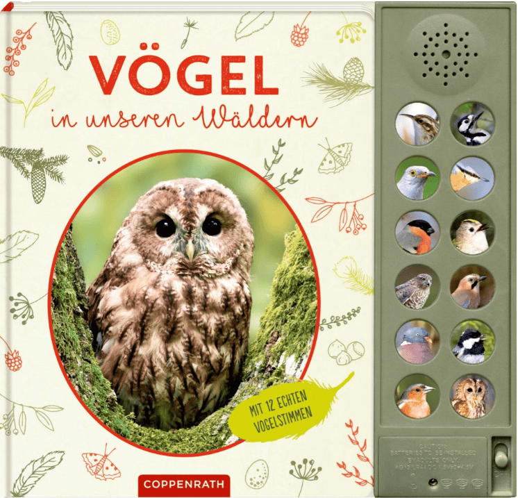Waldgeschichten-Kinderbuch-Vögel-in-unseren-Wäldern