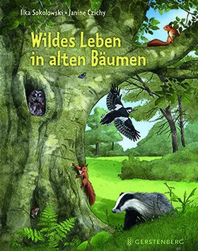 Kinderbuch bei Waldgeschichten, Wildes Leben in alten Bäumen
