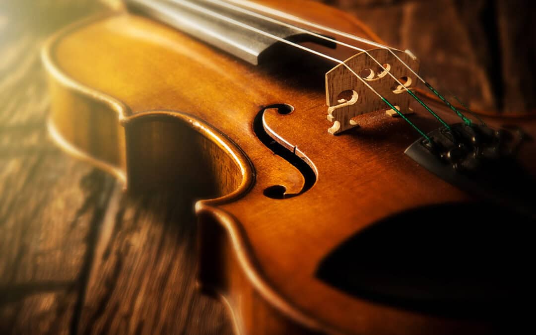 Die Fichte als Klangholz – wo Wald zu Musik wird