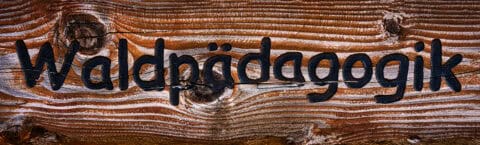 Waldpädagogik in Österreich, Waldgeschichten