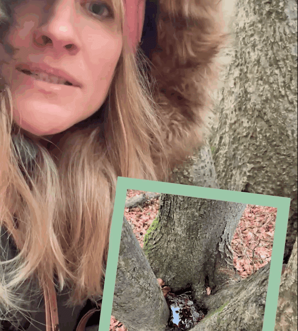 Das Hasenklo im Wald – und was es wirklich ist!