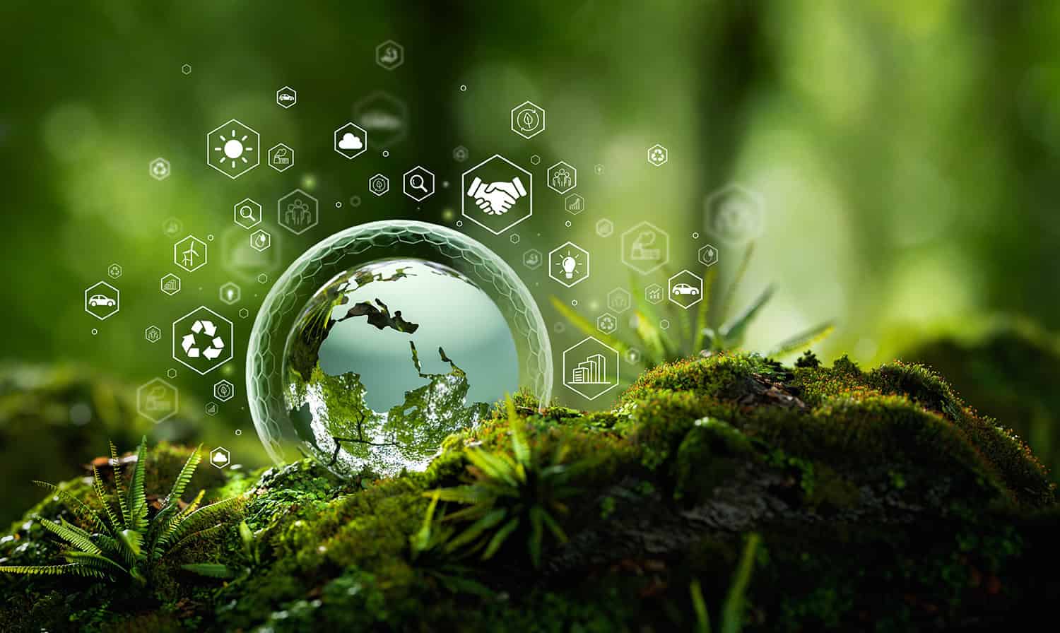 Waldgeschichten über den Global Summit zur Bioökonomie