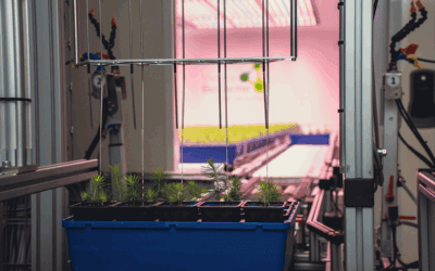 WaldFIT forscht für die Zukunft unserer Wälder, Waldgeschichten