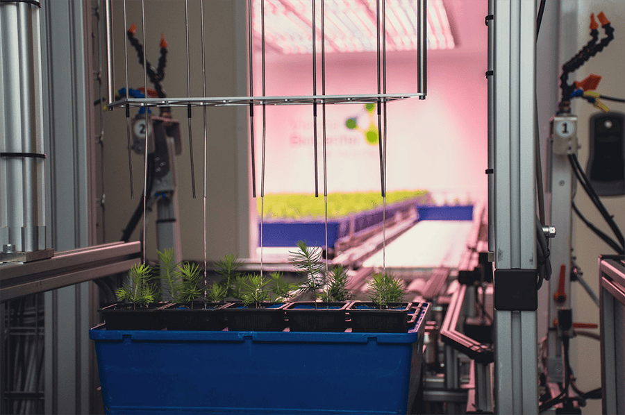 Projekt WaldFIT: Herkunftswahl und Pflanzverfahren