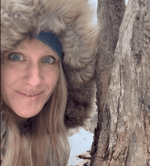 So wichtig ist Totholz im Wald